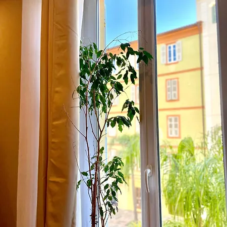 Apartament Confort Hypercentre D'ajaccio *